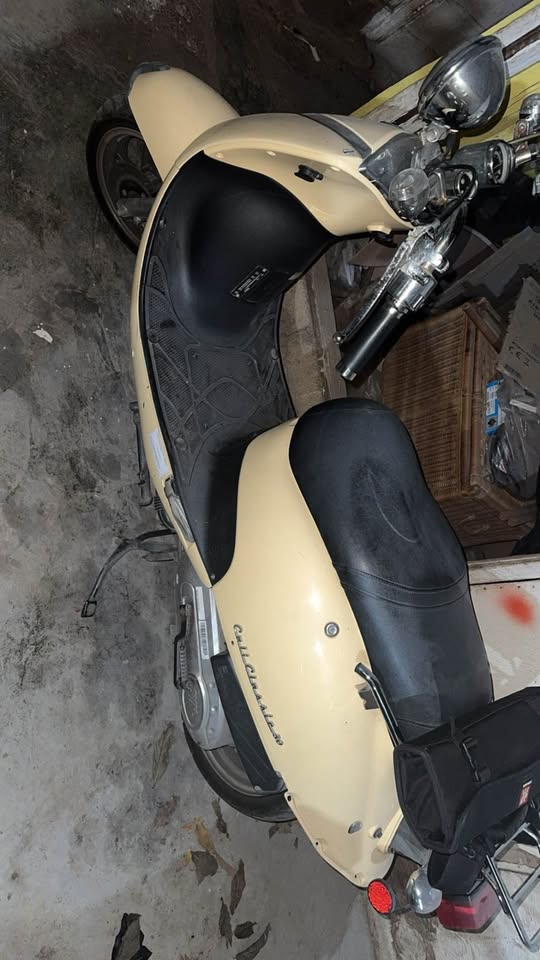 brommer 60cc